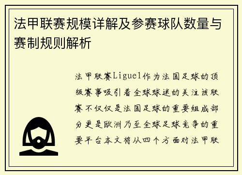 法甲联赛规模详解及参赛球队数量与赛制规则解析