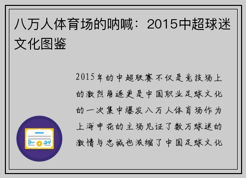 八万人体育场的呐喊：2015中超球迷文化图鉴
